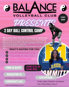 Balance Volleyball Ball Control Camp
